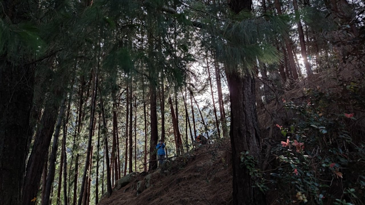 Senderos para visitar en Bogotá