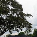 La empresa de energía air-e realizará trabajos de mantenimiento en el Atlántico