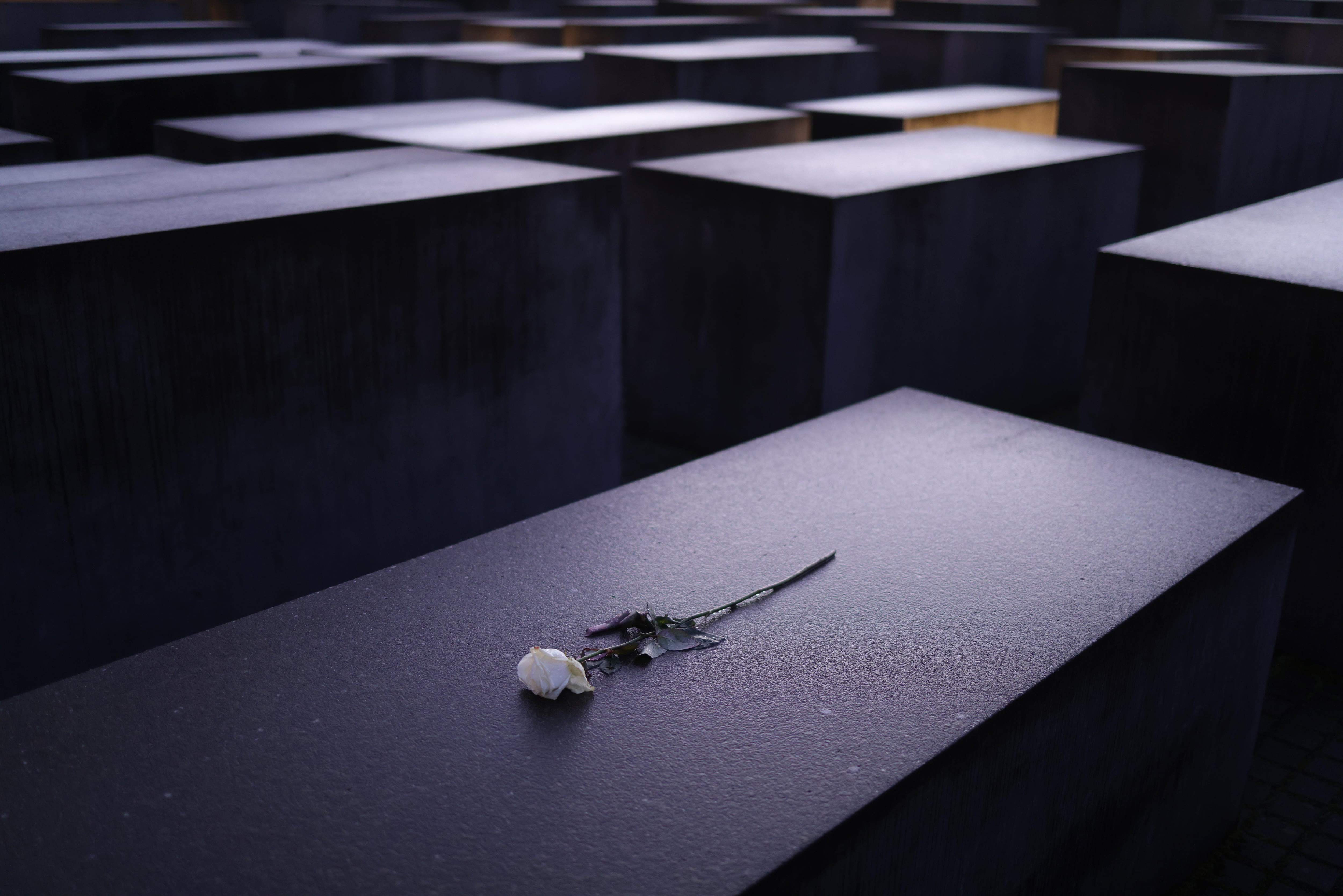 Holocaust Memorial