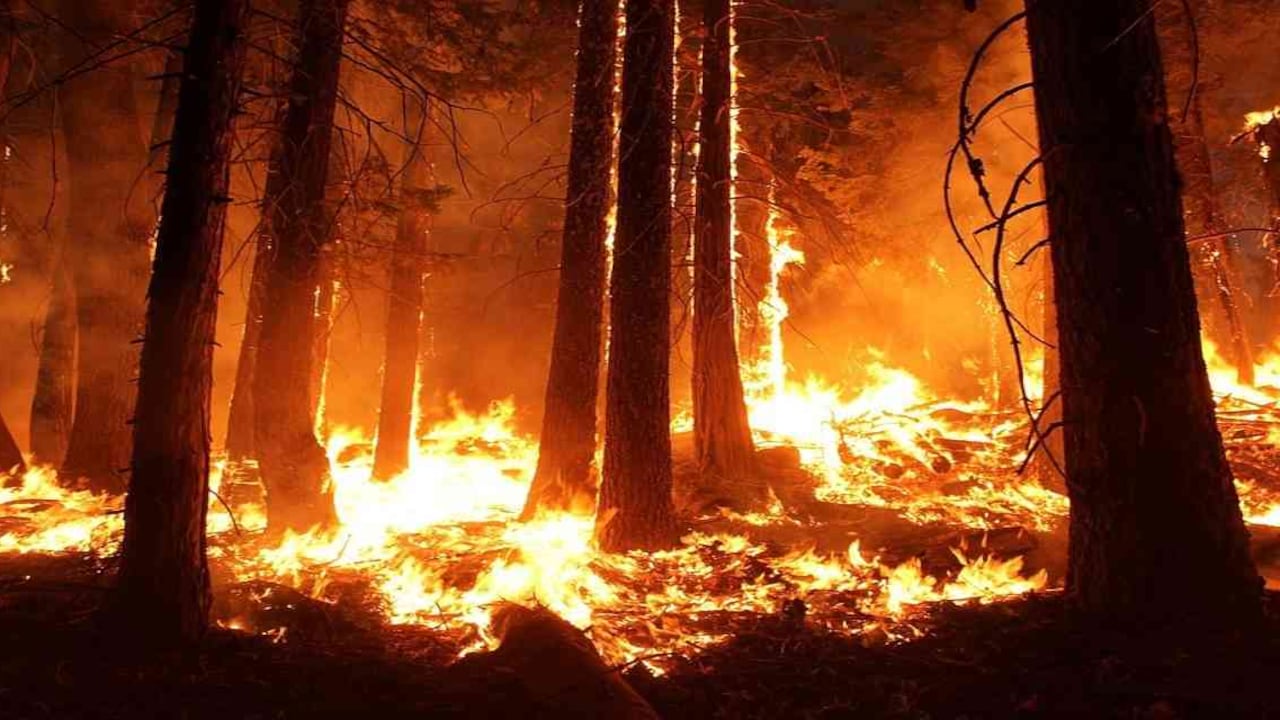 Los incendios forestales que se vienen registrando en California amenazan con destruir más de 15 mil estructuras, entre casas, establos, etc. Foto: Pixabay.