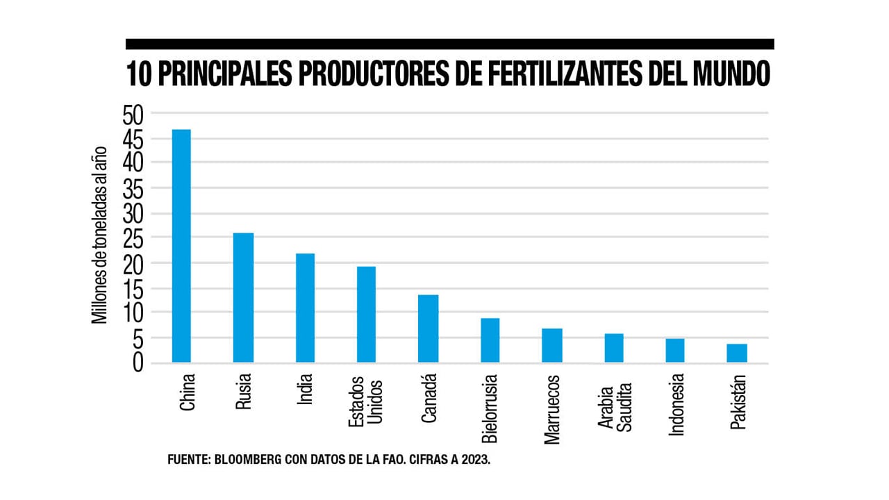 La guerra nunca es ajena_8