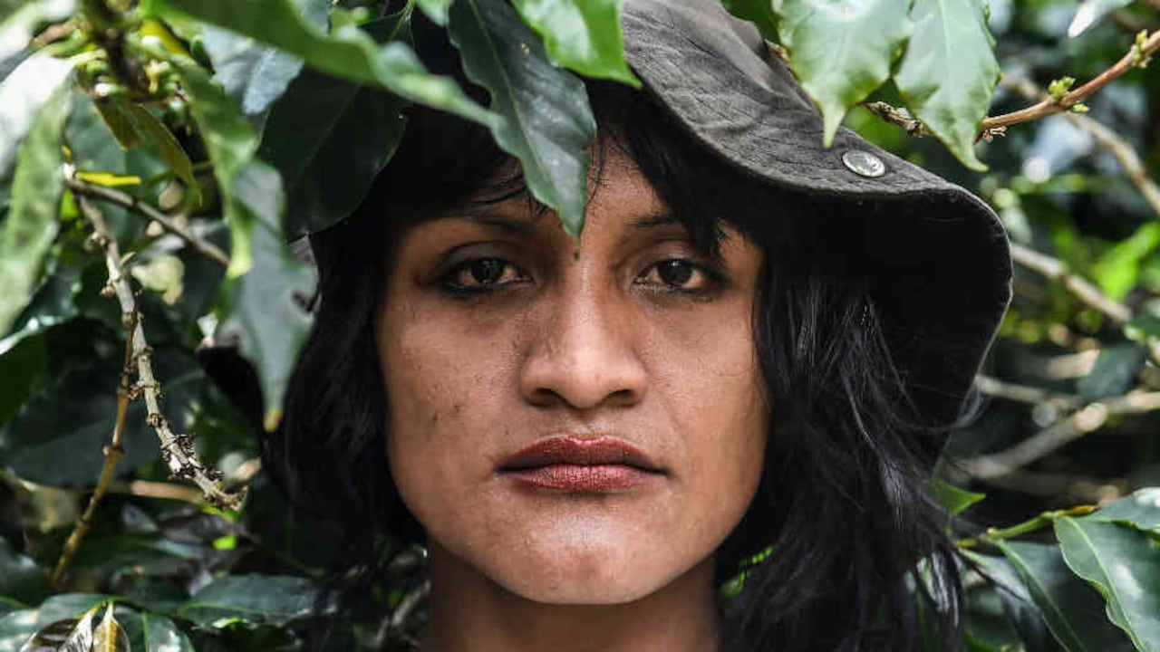 En su documento de identidad, Roxana es John Faber.