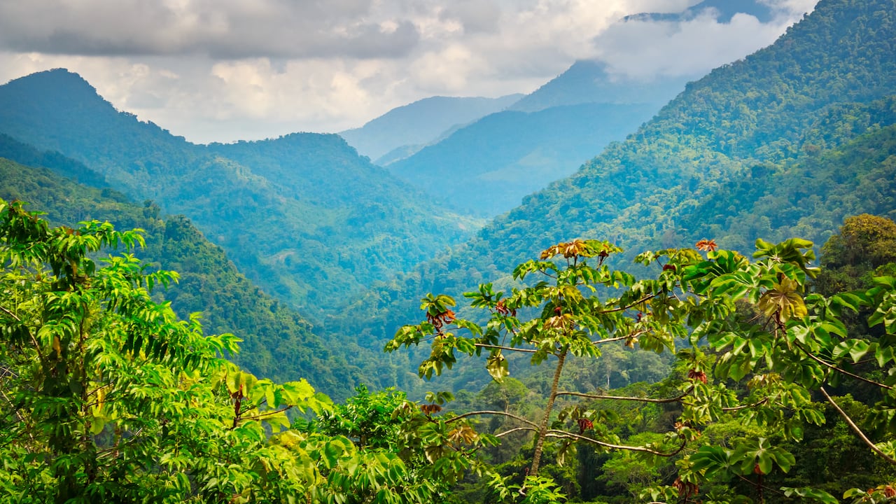 Algo que caracteriza el recorrido es la oportunidad de ver y presenciar paisajes únicos: amaneceres, cascadas, bosque tropical conservado, poblados de koguis y wiwas, y espectaculares vistas panorámicas de la Sierra Nevada de Santa Marta. Por estos elementos y por su riqueza arqueológica, la sierra fue declarada Reserva de la Biosfera desde 1979 por la Unesco.