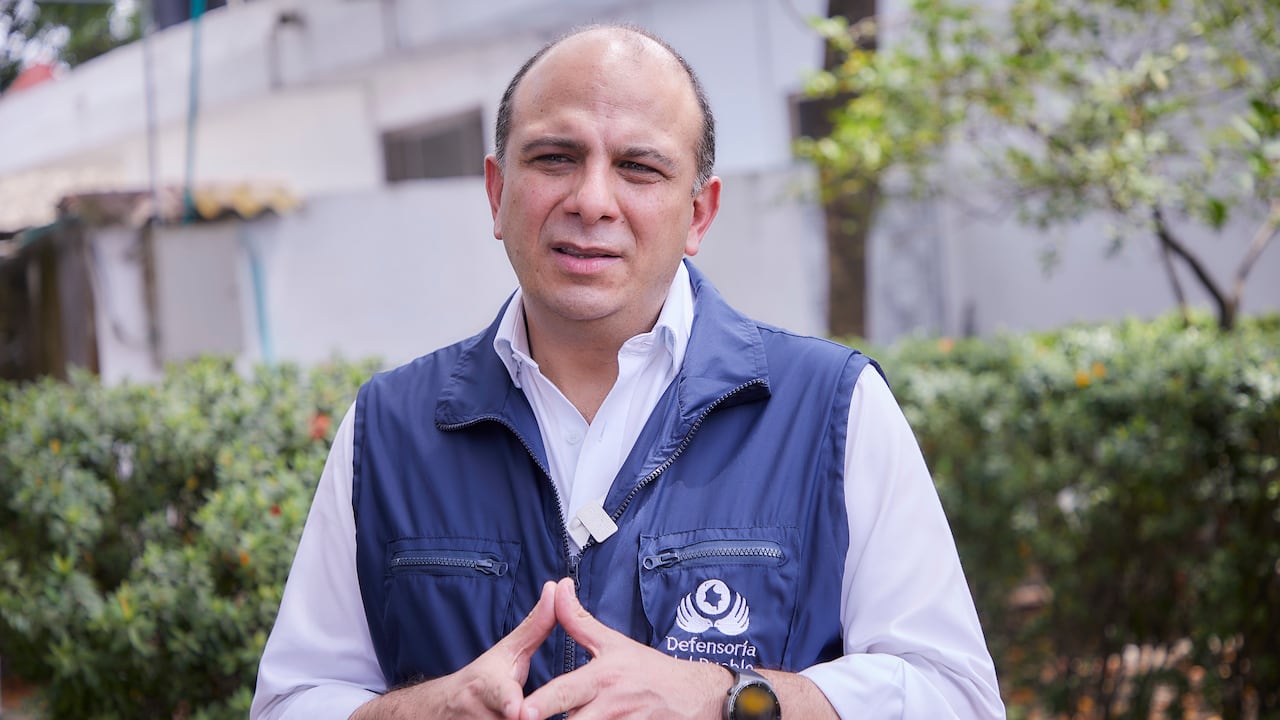 Defensor del Pueblo, Carlos Camargo Assis.