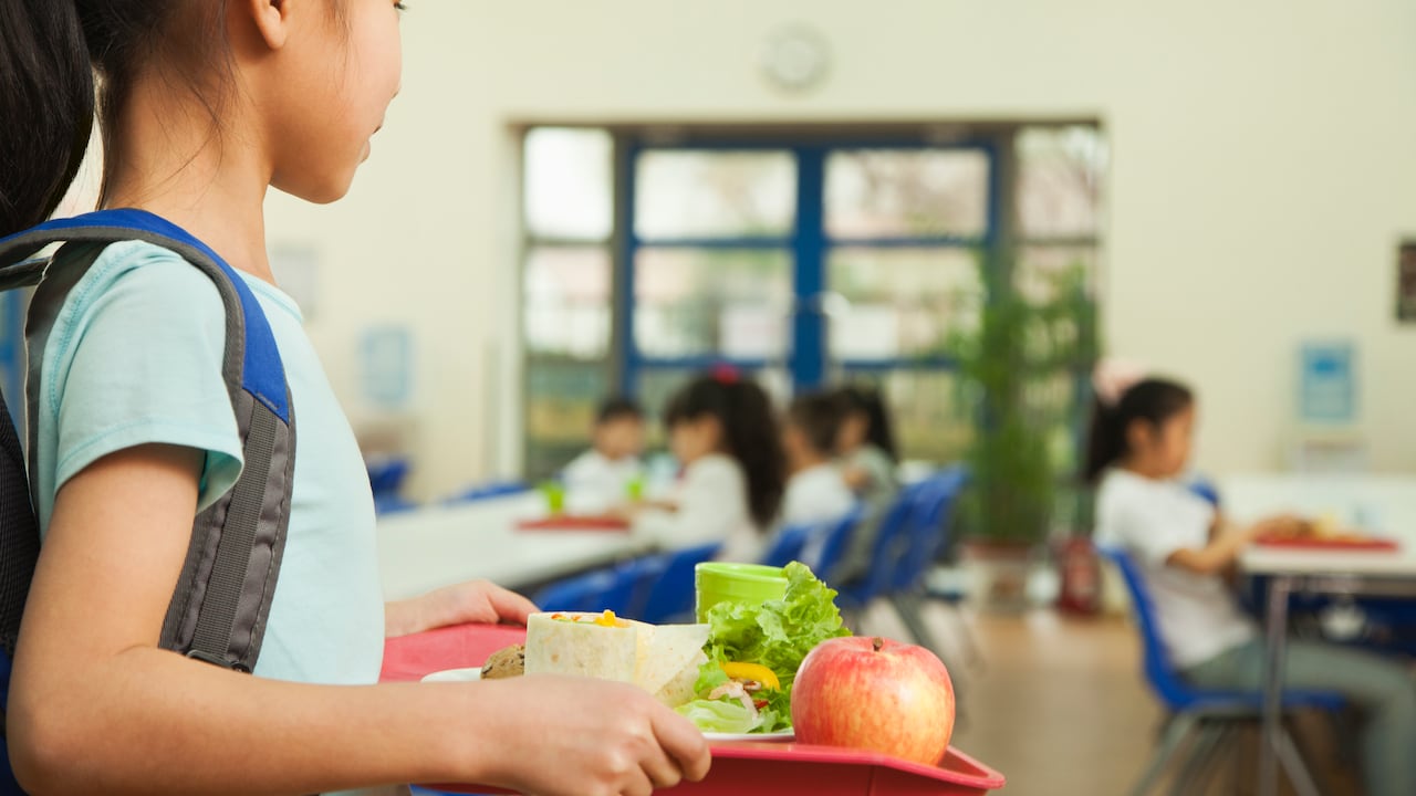 Procuraduría investiga al secretario de Educación de Guaviare por el PAE (Imagen de referencia)