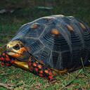 Ministerio de Medio Ambiente hace un llamado especial a la conservación.