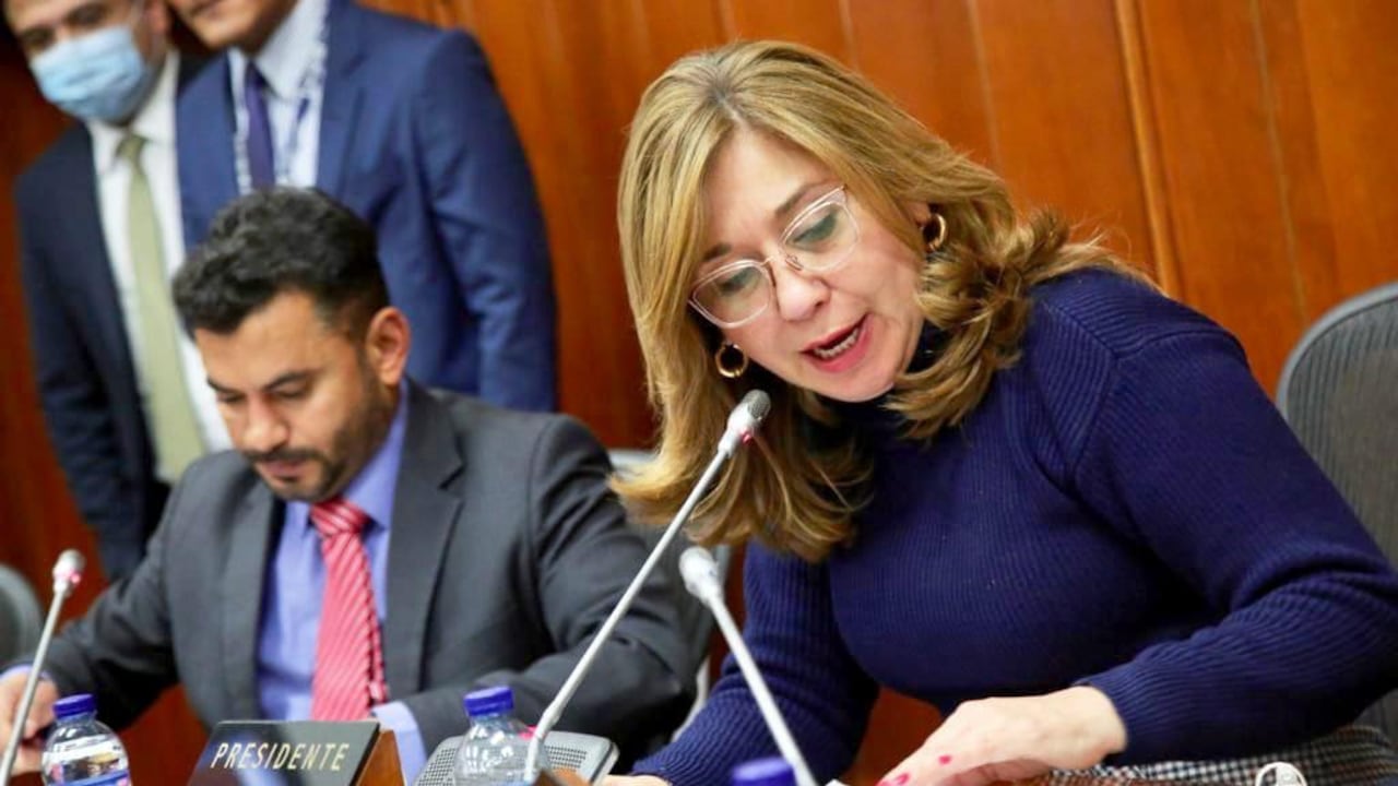 Senadora Norma Hurtado, presidenta de la Comisión Séptima de Senado.