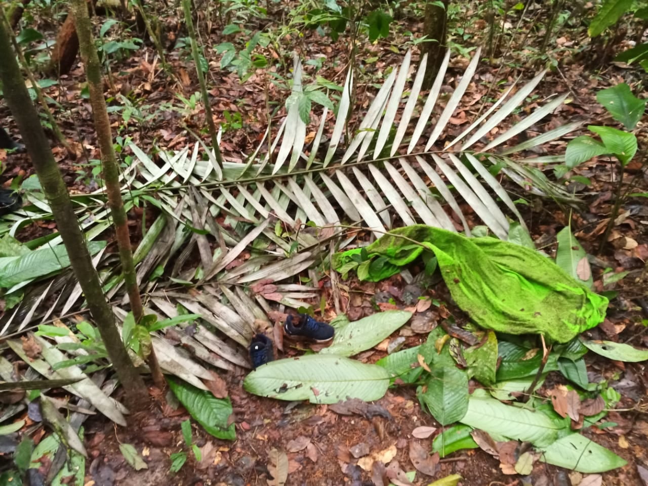 Se presume que estos elementos fueron dejados por los menores como una especie de rastro para dar señales de por dónde se habían desplazado.