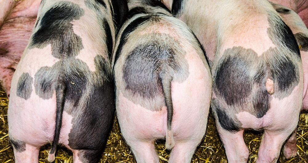 El secreto de la felicidad_6