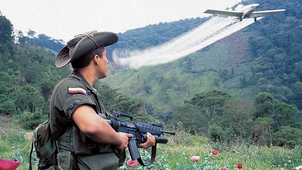 El gobierno nacional insiste en la necesidad de retomar la aspersión aérea con glifosato. Foto: archivo/Semana.