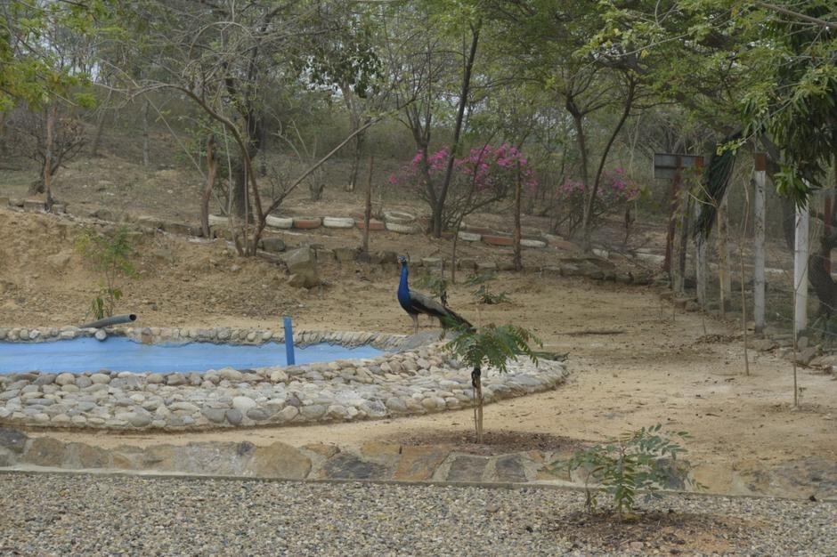 Parque Tecnológico Ambiental Guayabal, en el departamento de Norte de Santander.