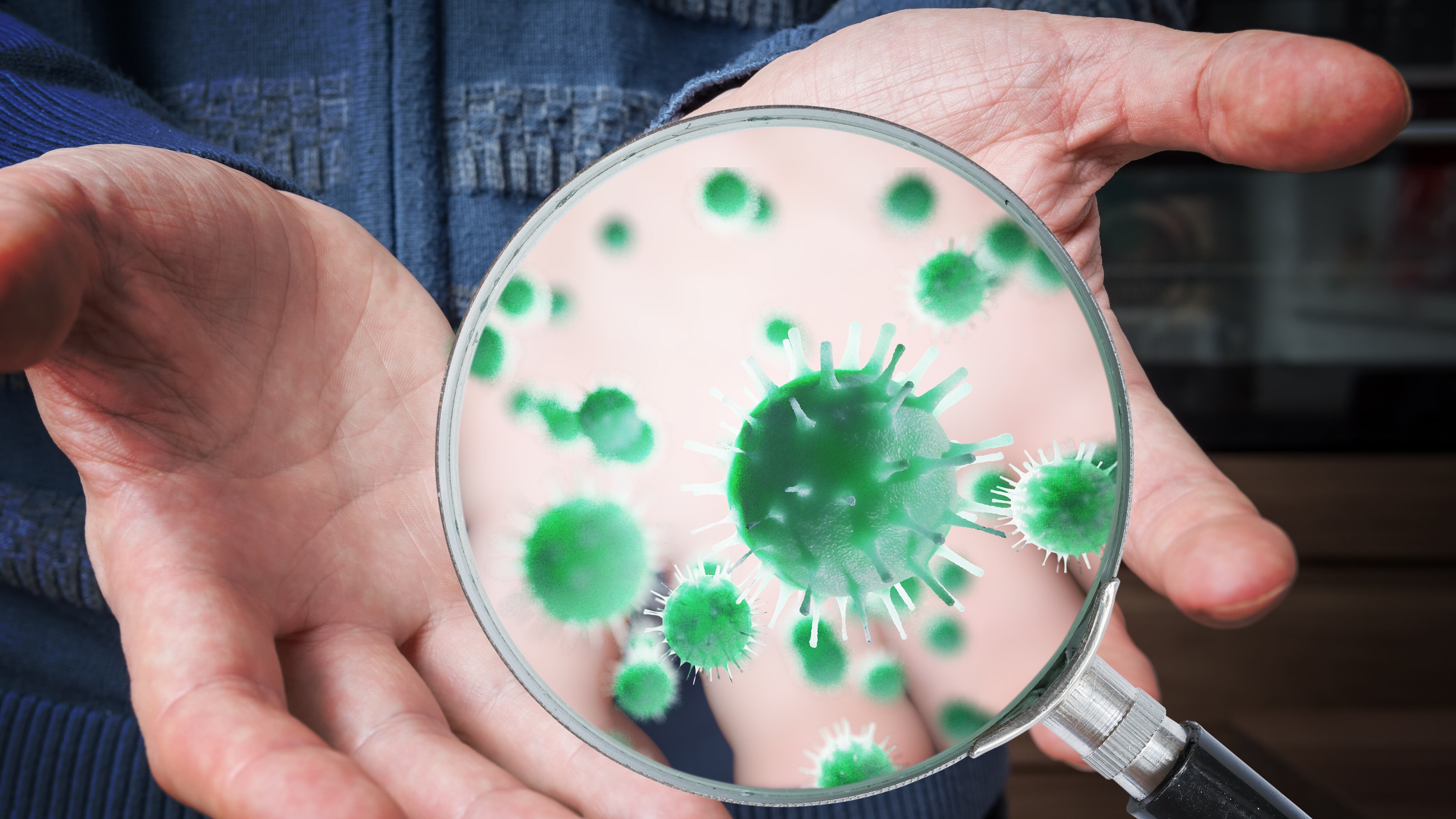 bacterias en las manos