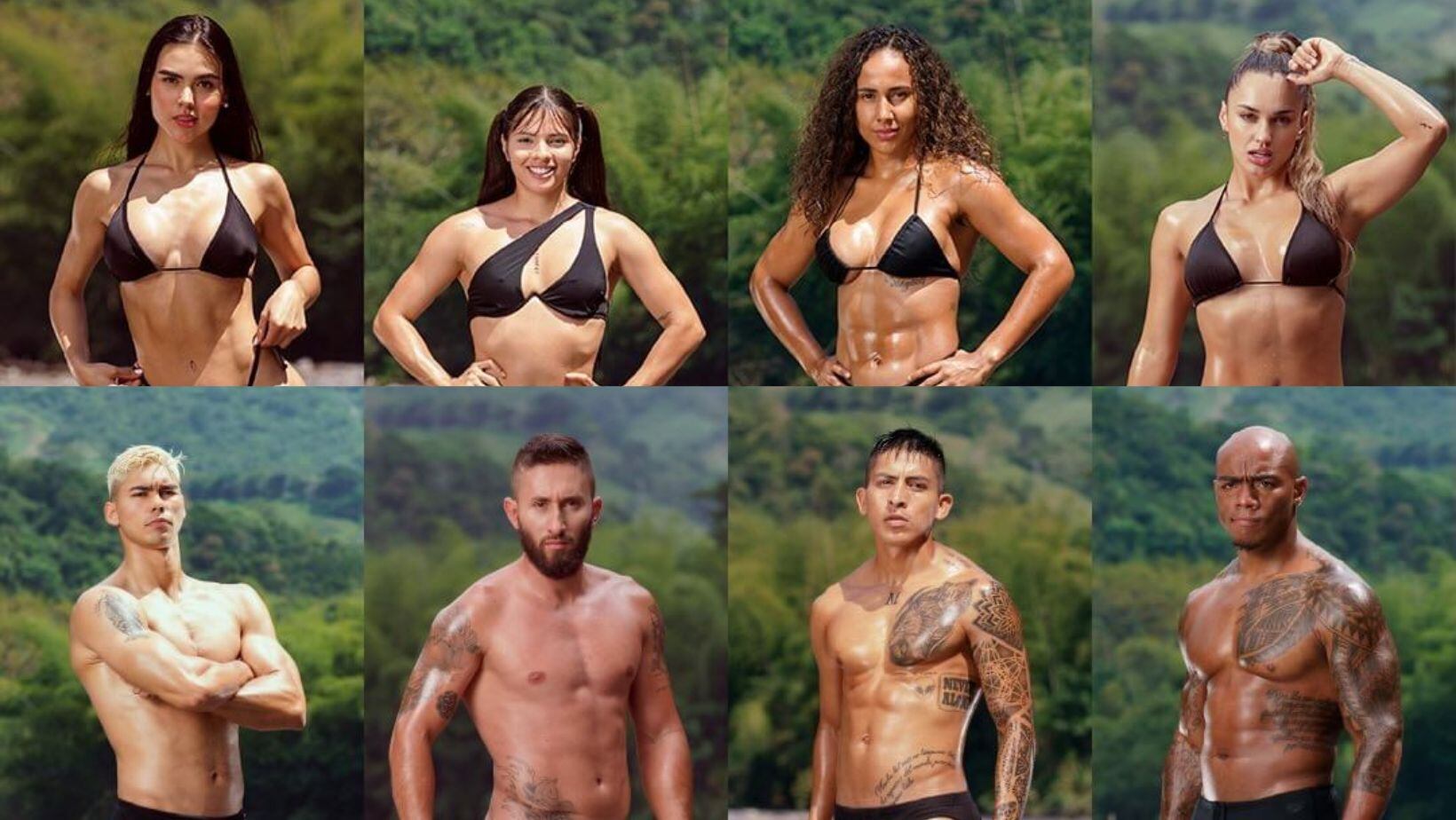 Así puede votar por su participante favorito del 'Desafío'