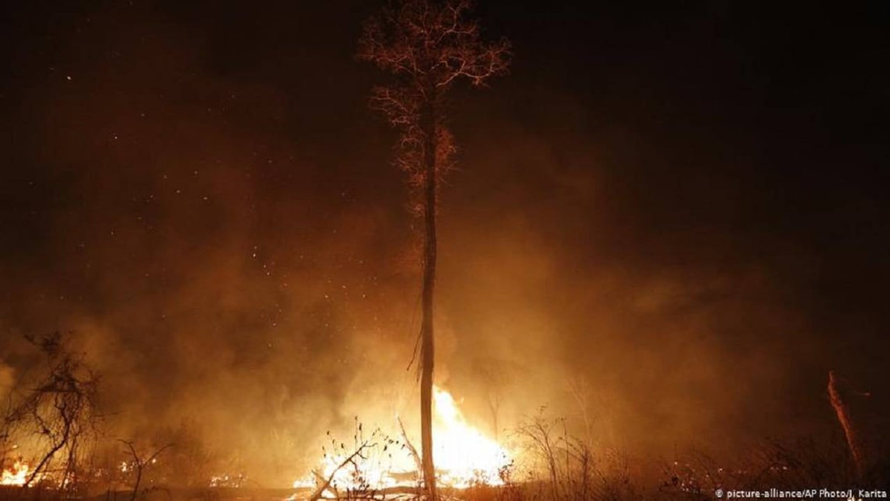 Los incendios han acabado con millones de hectáreas en la Amazonia de Brasil. Foto tomada de DW.