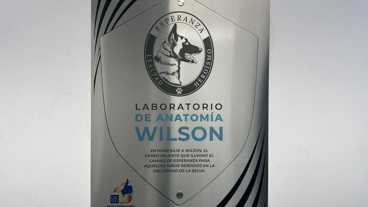 Placa en homenaje a Wilson, el perro que ayudó a la búsqueda de los niños desaparecidos en la selva y que hoy no aparece.