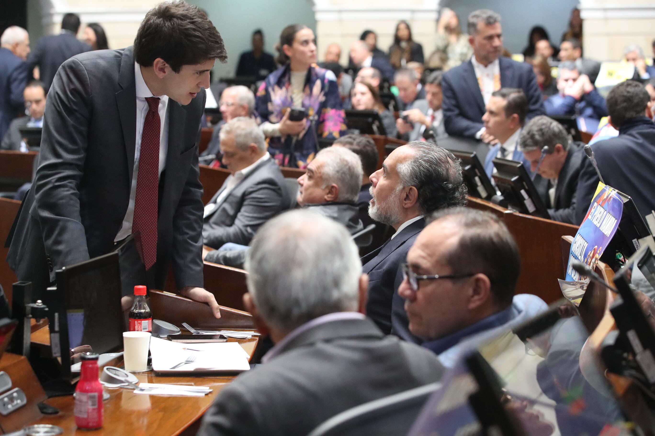 Plenaria Senado, consulta popular