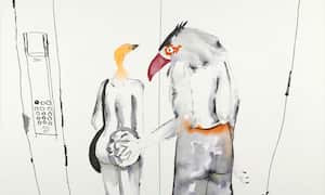 De hembras que crecen y machos que las cortejan...