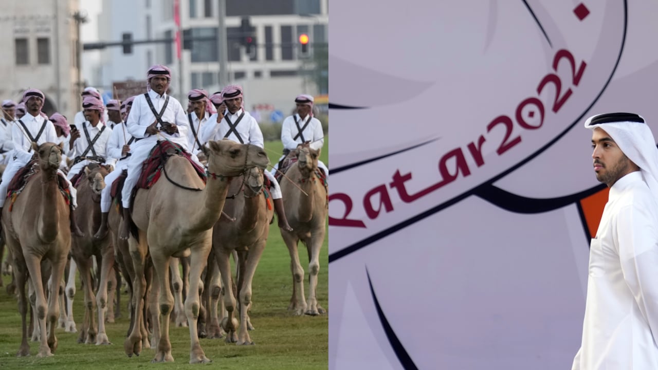 Mundial Qatar 2022, Camellos.