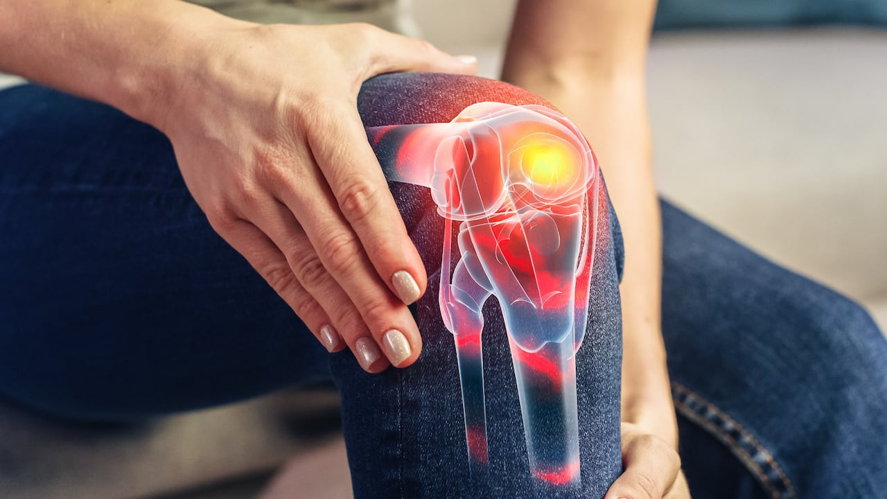 Las rodillas son las articulaciones más grandes del cuerpo.