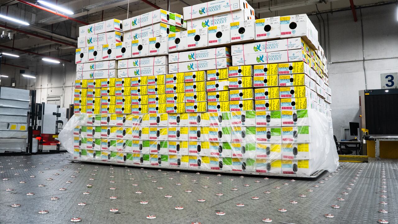 El sector genera miles de empleos formales durante la temporada alta de exportaciones.