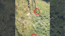 Fuerza Aérea habría localizado avioneta reportada como desaparecida durante el pasado fin de semana.