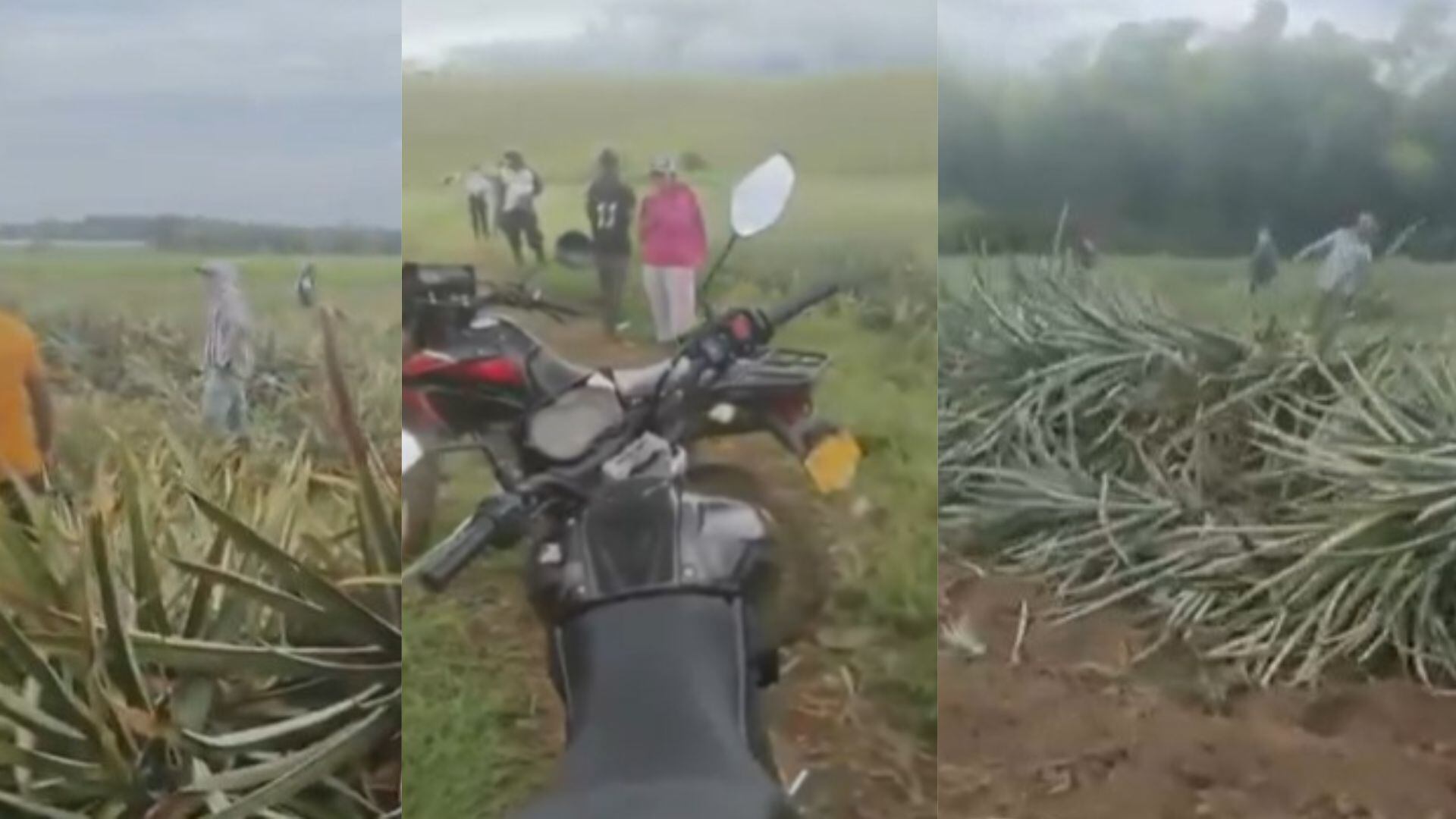 El propietario denuncia que hombres armados intentaron secuestrarlo y exigir el desalojo de La Novillera.