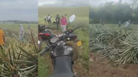 El propietario denuncia que hombres armados intentaron secuestrarlo y exigir el desalojo de La Novillera.