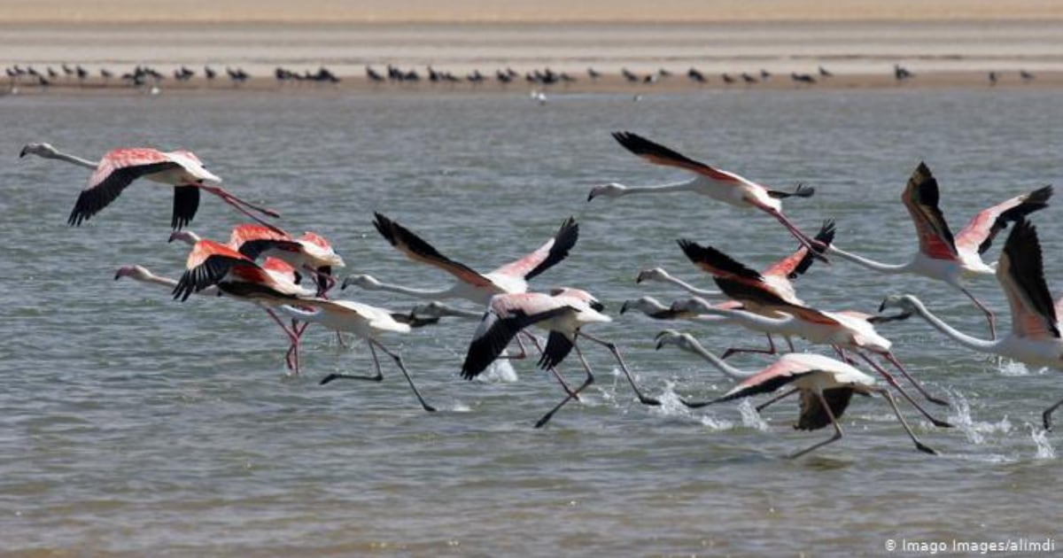 Humedal en Alemania.