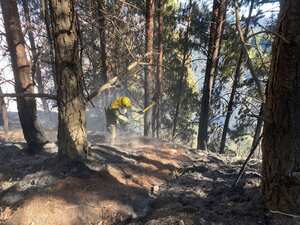 Incendio forestal en los cerros orientales en Bogotá