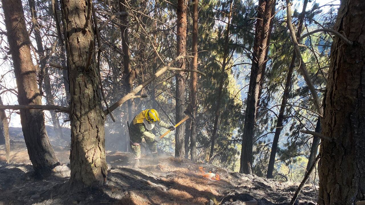 Incendio forestal en los cerros orientales en Bogotá