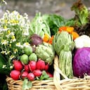 Si queremos un corazón sano, no debemos olvidar el papel de las frutas y las verduras, que son fuentes ricas de muchos nutrientes esenciales como las vitaminas C y E y los carotenoides (antioxidantes).