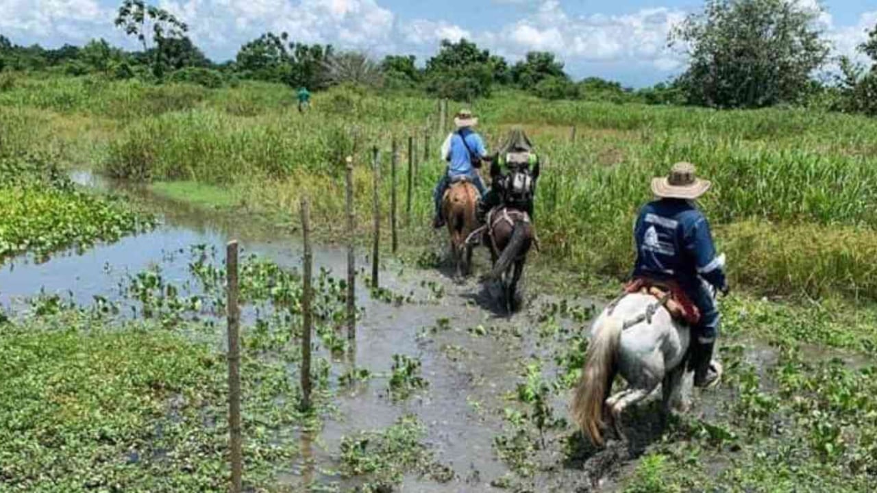 Varios propietarios de fincas han venido corriendo sus linderos hacia los humedales e instalando vallas para introducir ganado o cultivar. Foto: CAS.