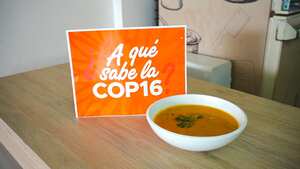 La campaña del Ciat A qué sabe la Cop, busca visibilizar a biodiversidad del Valle.