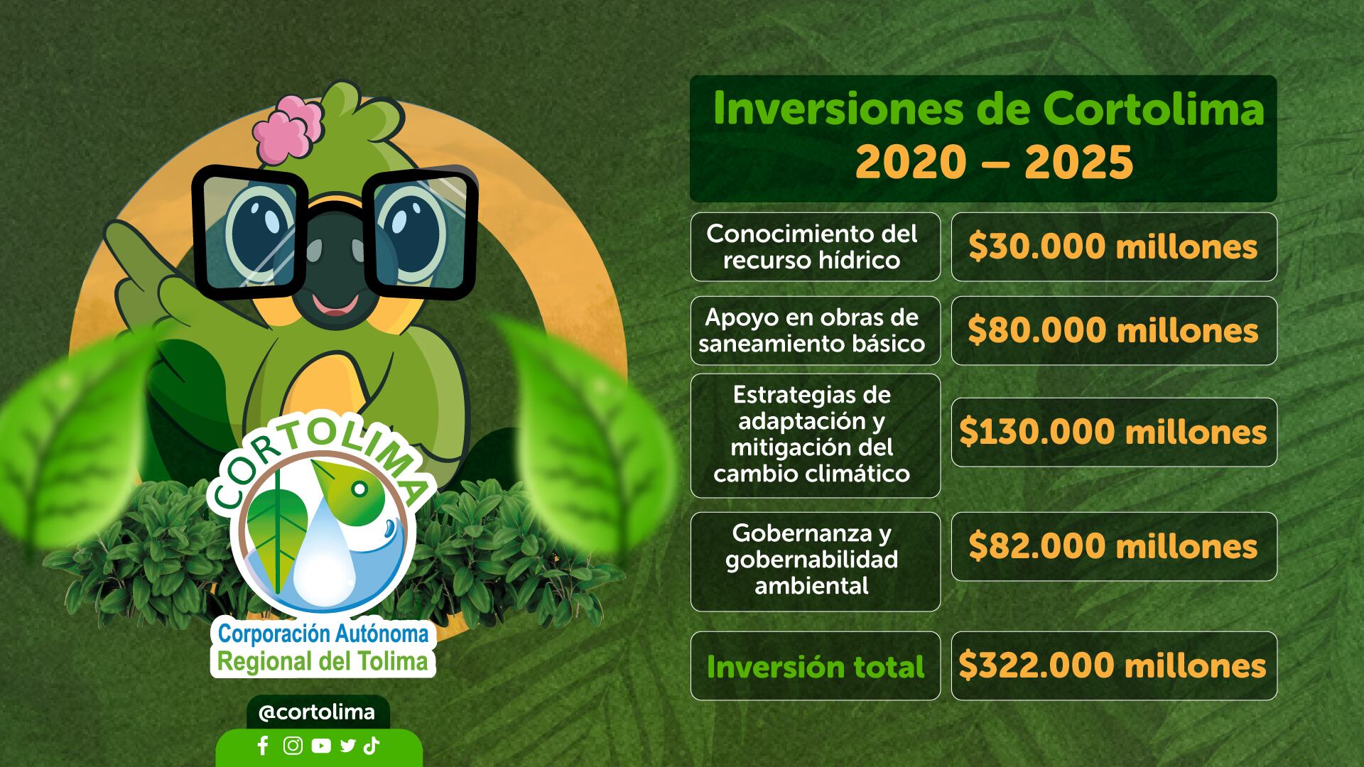 Inversiones Cortolima 2020 - 2025.