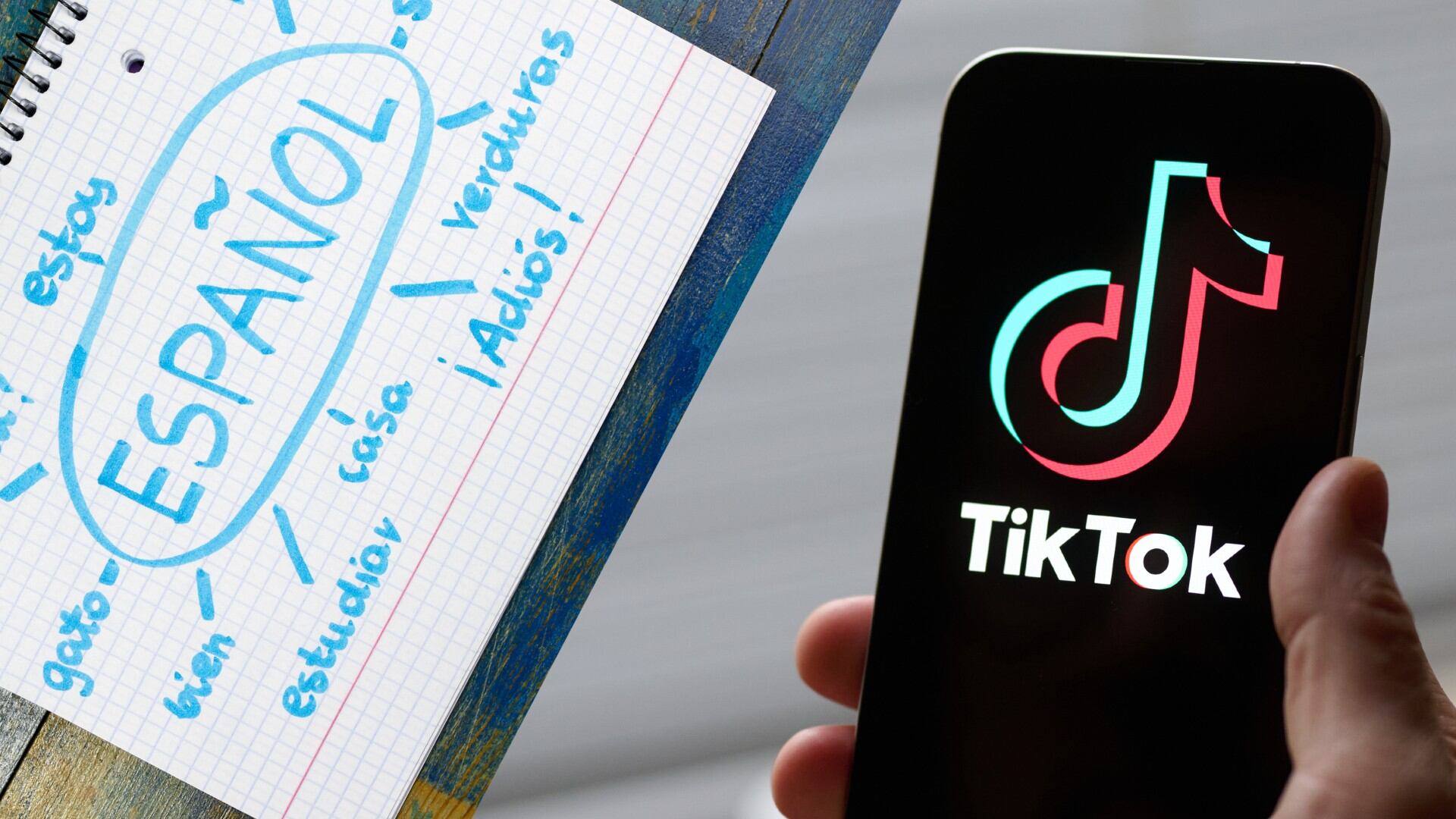 Cómo se llama la rayita de la Ñ; la RAE lo resuelve en su primer video en TikTok.