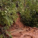 Fuertes lluvias generan emergencias en municipios de Caldas, Antioquia y Valle del Cauca