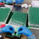 Dosis de la vacuna de coronavirus desarrollada por AstraZeneca/Oxford