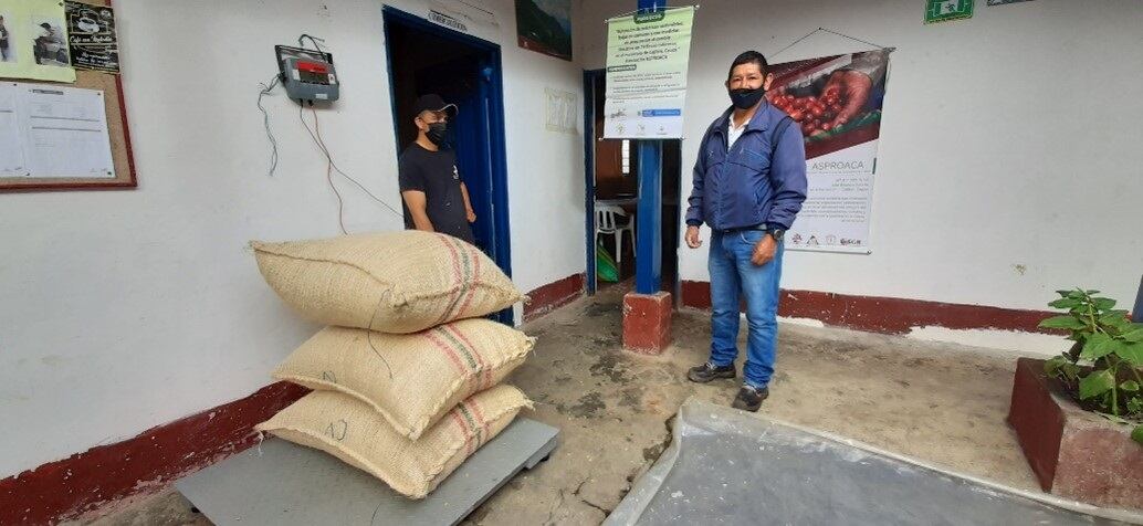 proyecto de café sostenible en Cajibío- Cauca