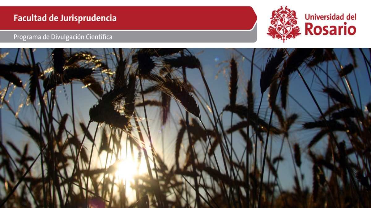 Restitución de tierras como prerrequisito para una paz y desarrollo sostenible