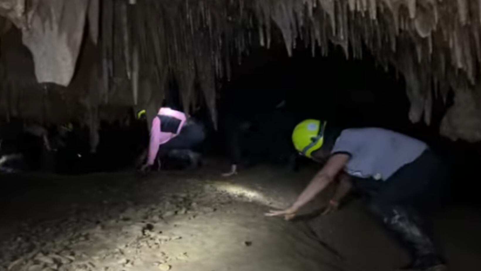 Bosque de Pandora en Santander