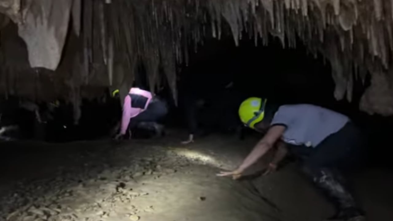 Bosque de Pandora en Santander