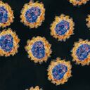 Cuando las mutaciones cambian lo suficiente la estructura de todos ellos, estamos ante un nuevo serotipo de ese virus. BBC - GETTY