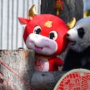 Un bebé panda sube a una exhibición para el próximo Año Nuevo Lunar del Buey en el Centro de Conservación e Investigación del Panda Gigante de China en la Reserva Natural de Wolong en la provincia de Sichuan, suroeste de China, el miércoles 3 de febrero de 2021. Diez pandas bebés fabricados su debut en la principal reserva de pandas de China en el suroeste del país el miércoles por la mañana antes del Año Nuevo Lunar. (Chinatopix vía AP)