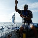 SAN ANDRES
PESCADORES EN SAN ANDRES
PESCADORES
PESCADOS
PECES
SEPTIEMBRE 27 DE 2013
FOTO CLAUDIA CAMEJO