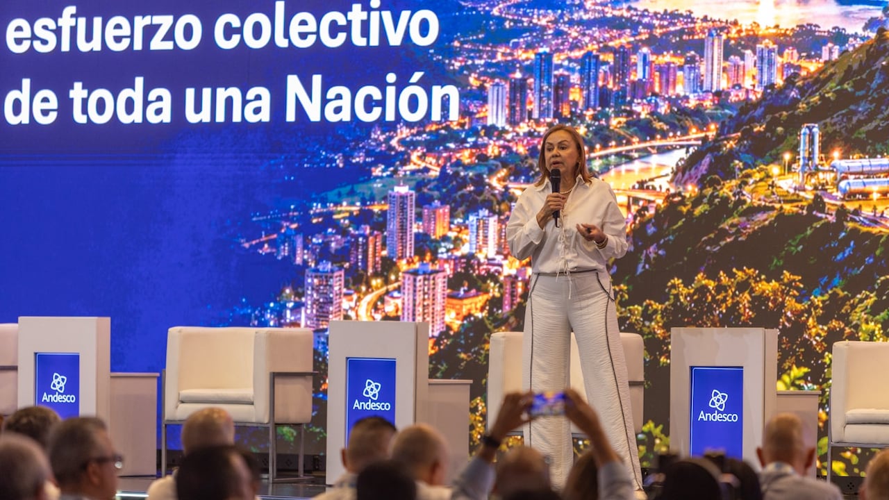 Ministra de Minas y Energía, María Nohemí Arboleda.