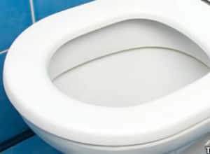 Científicos explicaron por qué la mala reputación del inodoro es injusta.