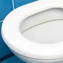 Científicos explicaron por qué la mala reputación del inodoro es injusta.