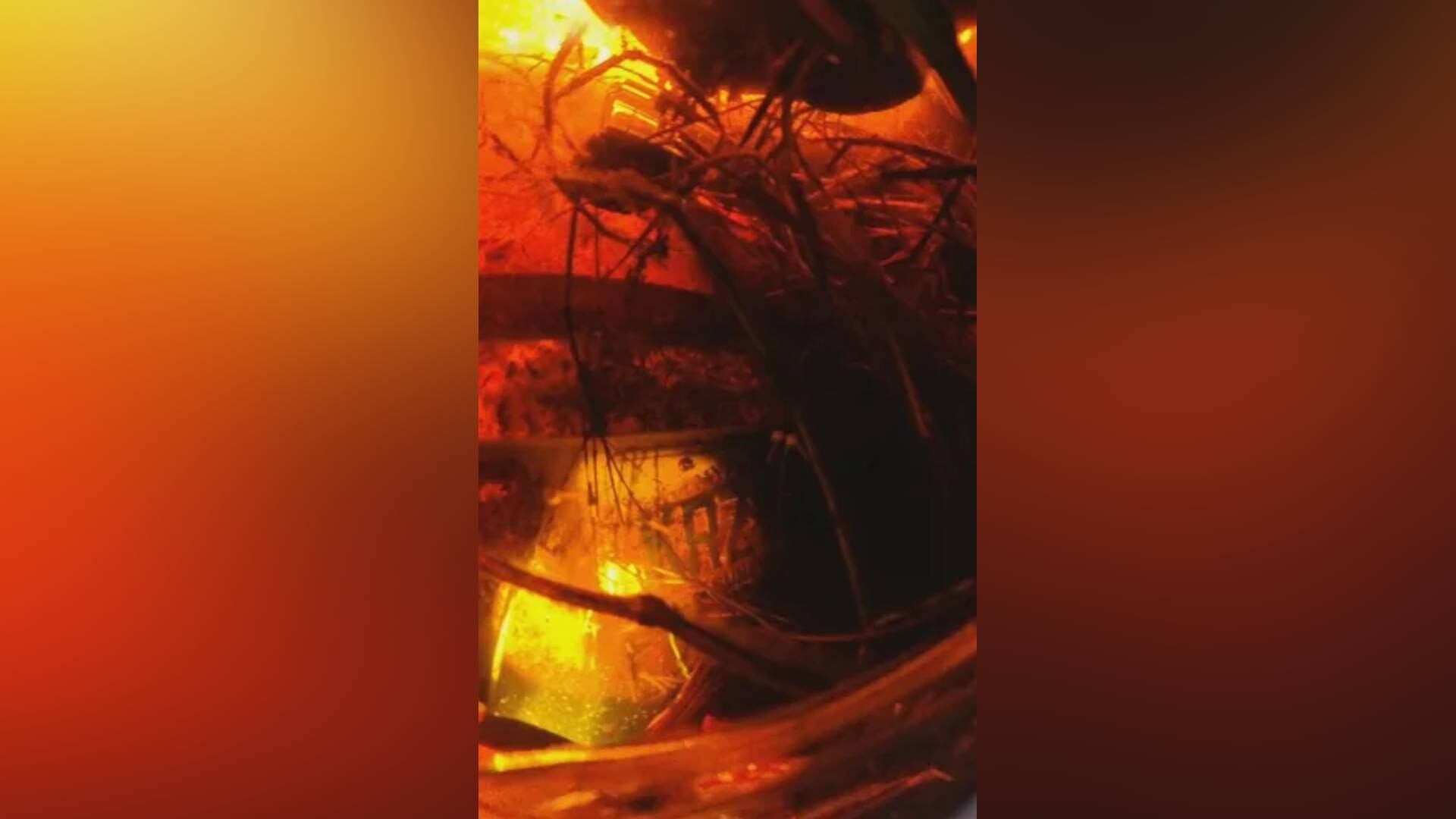 Imagen difundida por USA Today