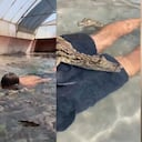 Twitter:@/ViralizandoAndo (API)