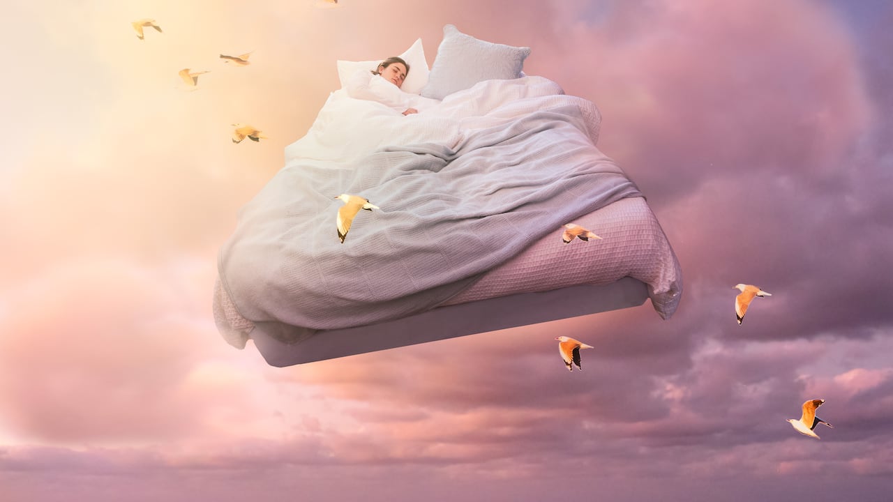 Soñar con pájaros puede interpretarse de varias formas, dependiendo de la condición en la que se encuentre el animal en el sueño.